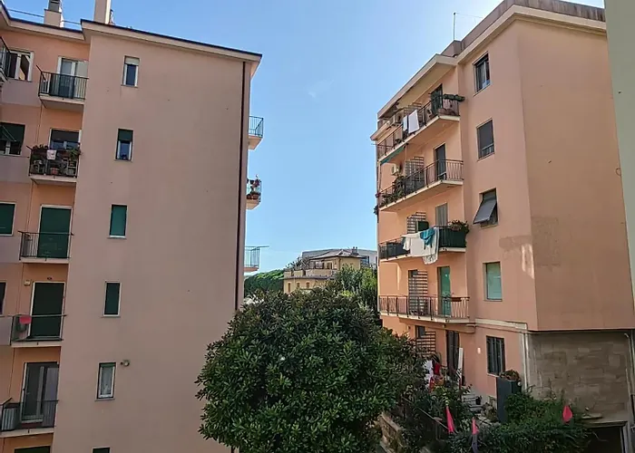 Il Maestrale * Janov